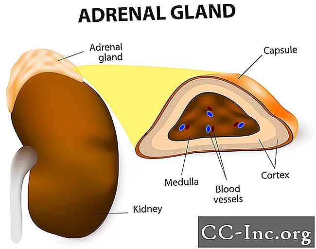 Kelenjar adrenal