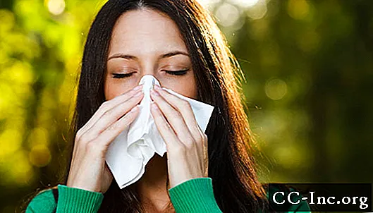 Allergiad: allergiaeksperdi dr Sandra Lini vastused