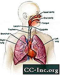 Βιοψία πνεύμονα