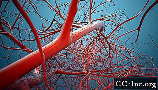 نظرة عامة على جهاز الأوعية الدموية