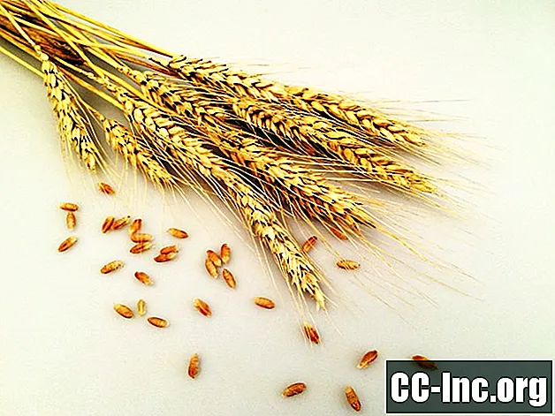 7 perguntas mais comuns sobre glúten e grãos