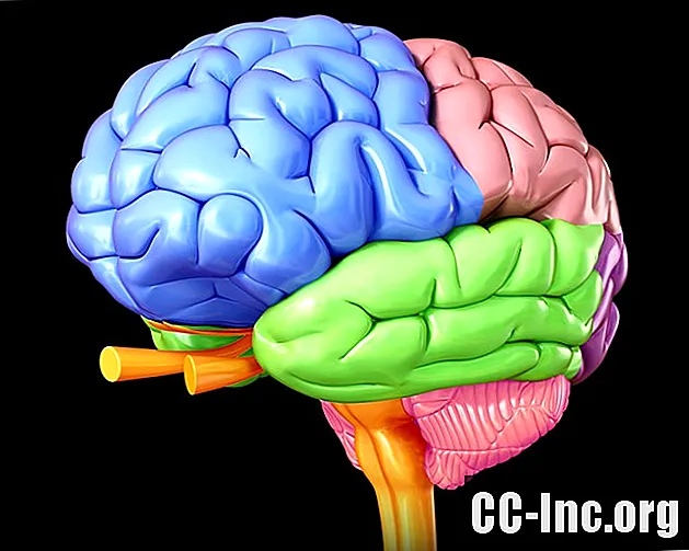 Una descripción general del daño del lóbulo frontal