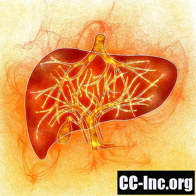 Anatomie van de hepatische aders