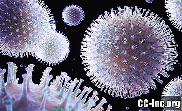 Antigen Drift und Shift mit dem Grippevirus