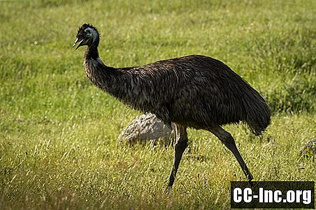 Blue-Emu actuele pijnstiller