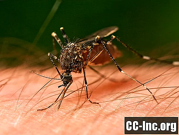 האם אתה יכול לחלות ב- HIV מעקיצת יתוש?