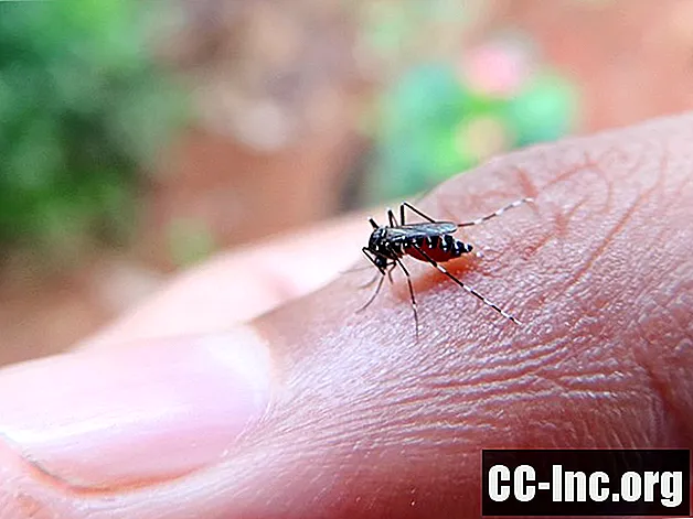 말라리아의 원인과 위험 요인