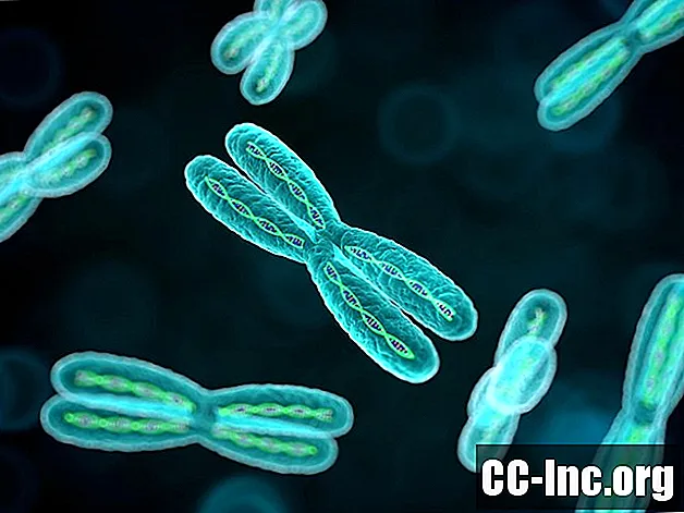 Chromosom 16 Störungen und Gesundheit