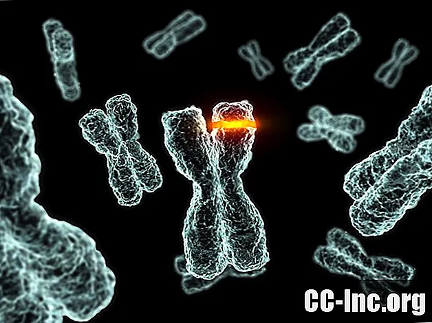 Chromosomų translokacijos ir jų vaidmuo sergant kraujo vėžiu