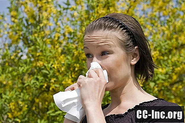 השוואה בין טיפות אלרגיה וצילומי אלרגיה
