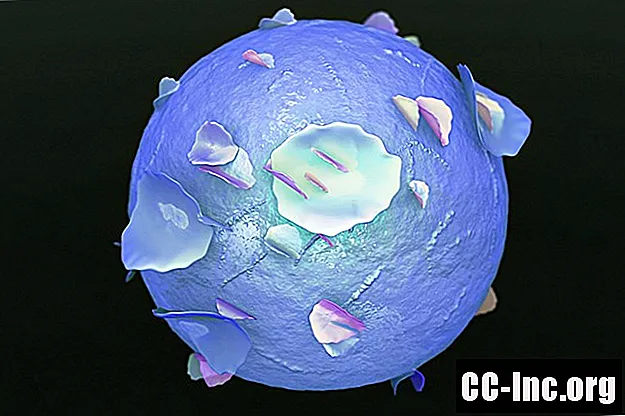 Enxerto em um transplante de células-tronco