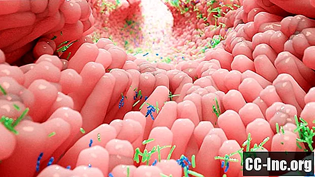 فيبروميالغيا وتشوهات الأمعاء الميكروبية