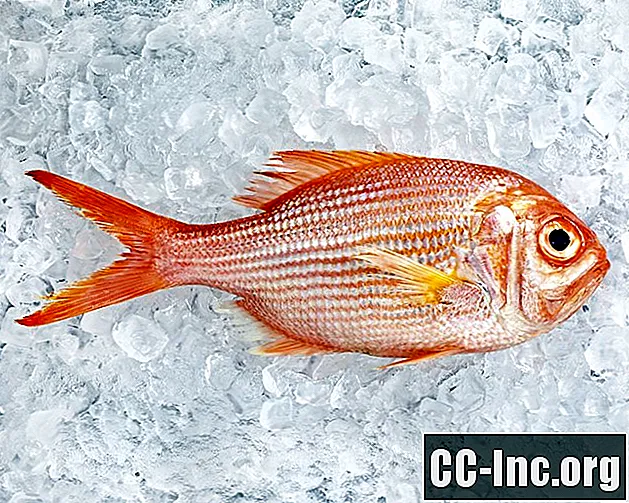 물고기 알레르기 : 증상, 진단 및 살아있는 물고기없는