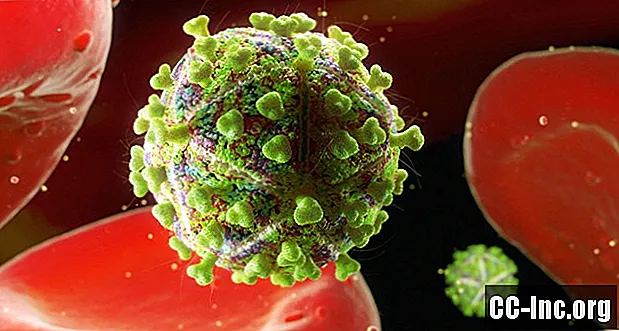 Proteínas do envelope do HIV e seu papel na entrada e na infectividade do HIV