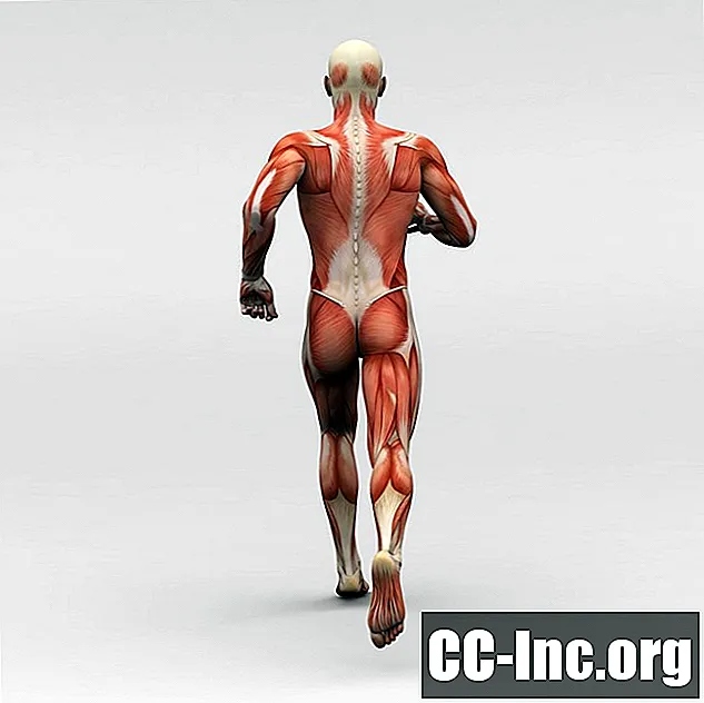 Mišići koljenog koljena, položaj zdjelice i bolovi u leđima