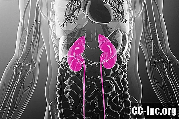 Hepatitis-C-Schäden und Ihre Nieren