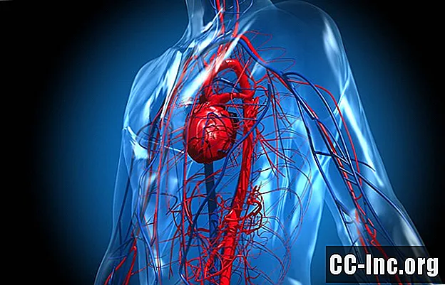 Kaip kraujas teka per širdį ir plaučius