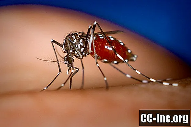 Bagaimana Chikungunya telah tersebar di Dunia Baru
