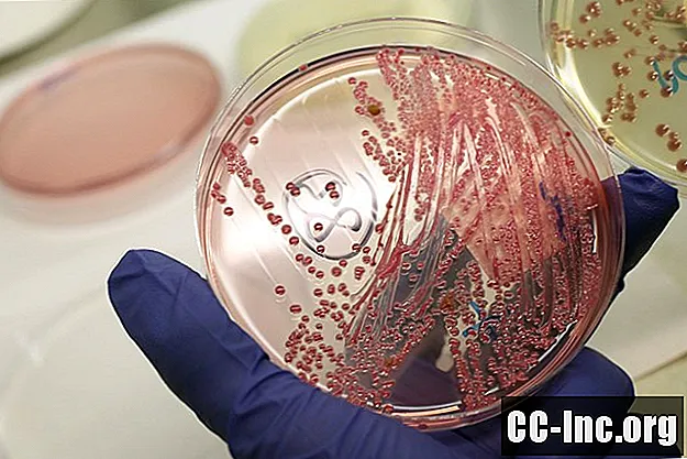 Hoe maken microben mensen ziek met hepatitis?