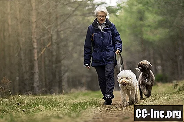 Jakie korzyści przynosi terapia zwierząt domowych osobom z demencją?
