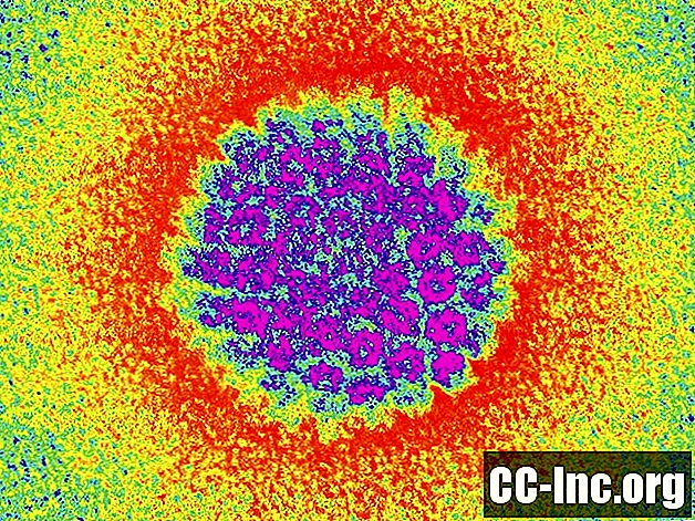 Come l'infezione da HPV è collegata al cancro anale - Medicinale