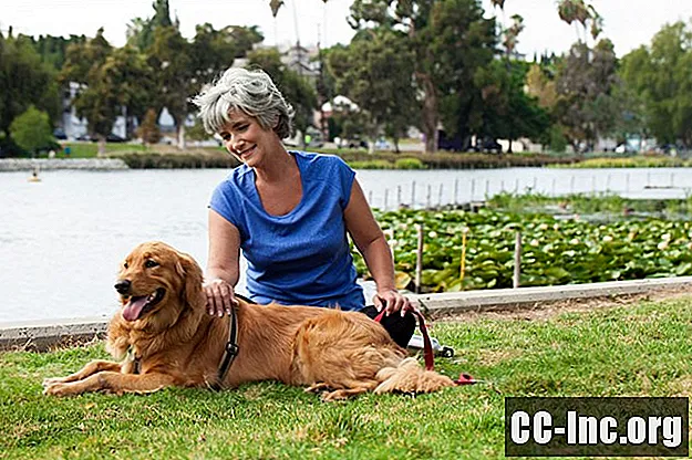 Kā dienesta suņi var palīdzēt tiem, kuriem ir multiplā skleroze