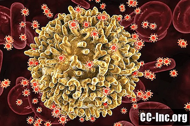 Cách thức hoạt động của virus Retrovirus hoặc Virus RNA - ThuốC