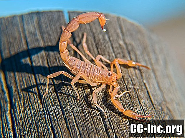 Kako liječiti ubod škorpiona