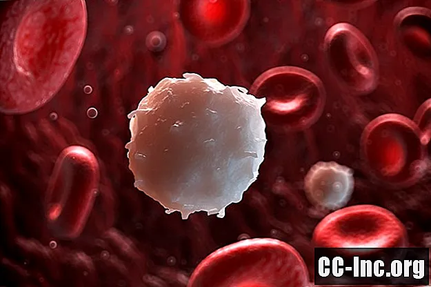 Razumevanje belih krvnih celic in vrste imunosti