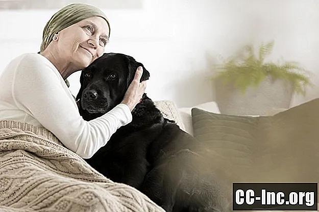 Att hålla husdjur när du diagnostiseras med cancer