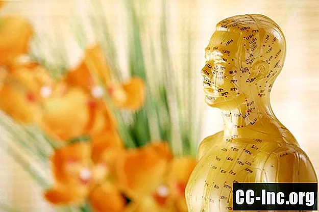 Meridian dalam Akupunktur dan Pengobatan Cina