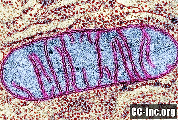 Mitokondrie sykdom symptomer og behandling