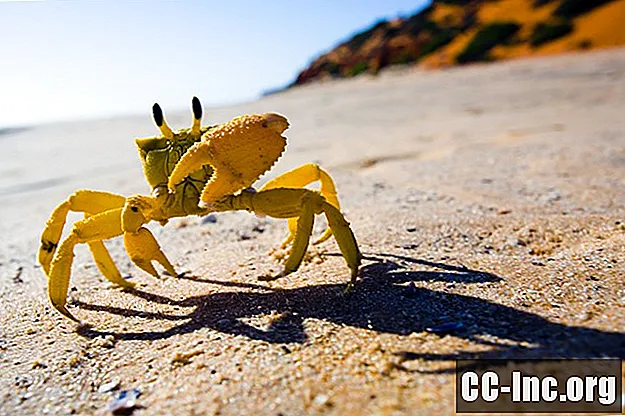Paragonimus: The Parasite in Raw Crab