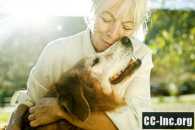 Terapia con mascotas para pacientes con cáncer