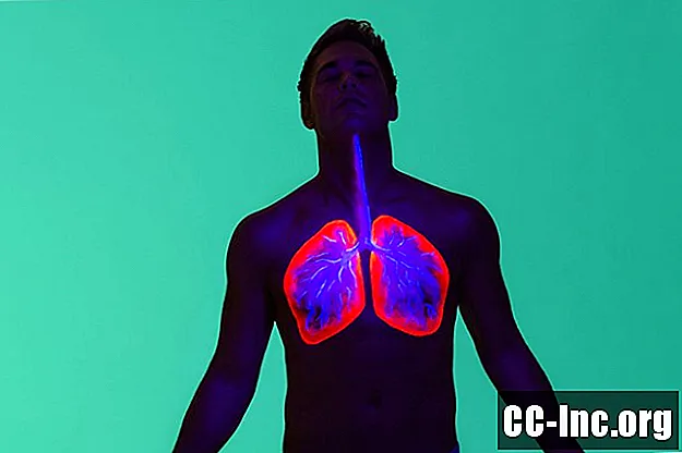 Physiologie du fonctionnement de la respiration