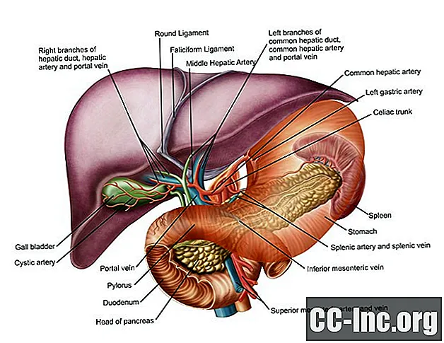 Gambaran Keseluruhan Hipertensi Portal