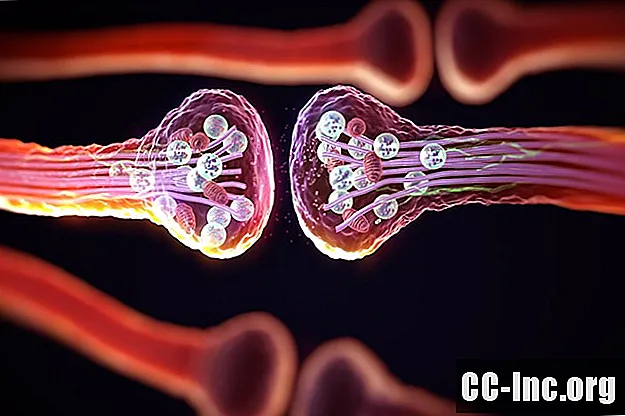 Synapsen in het zenuwstelsel