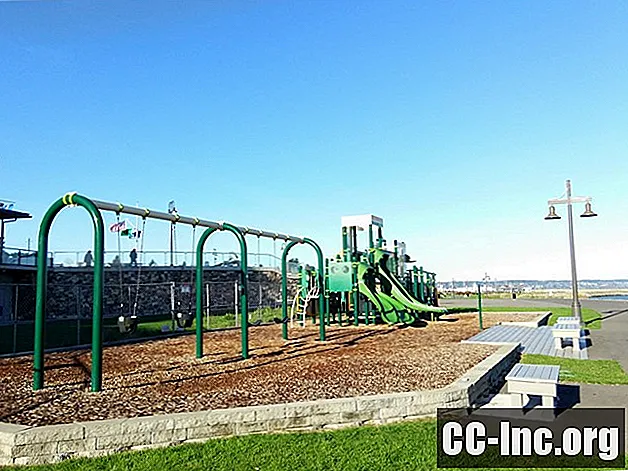 Ensinando crianças autistas a usar equipamentos de playground