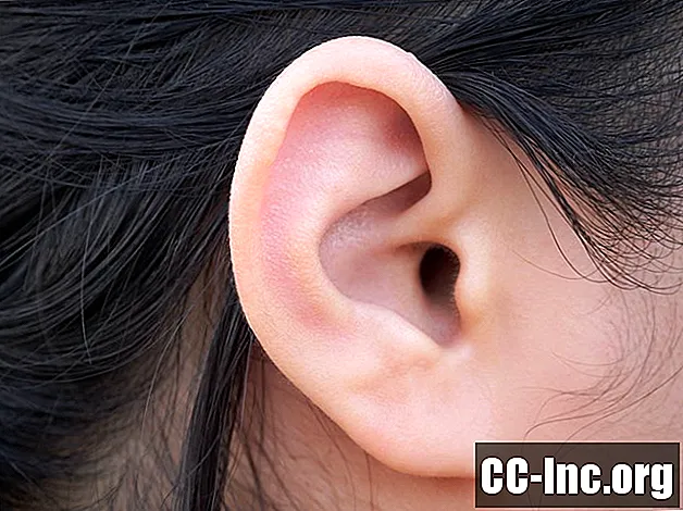 Anatomija ušesa