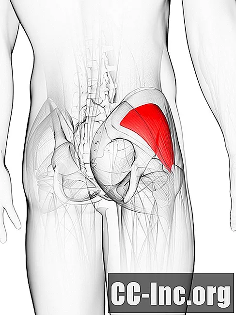 Анатомия минимальной ягодичной мышцы