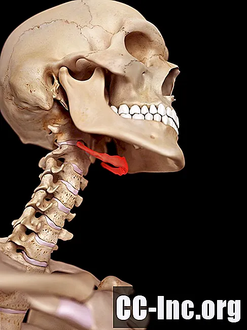 A anatomia do osso hióide