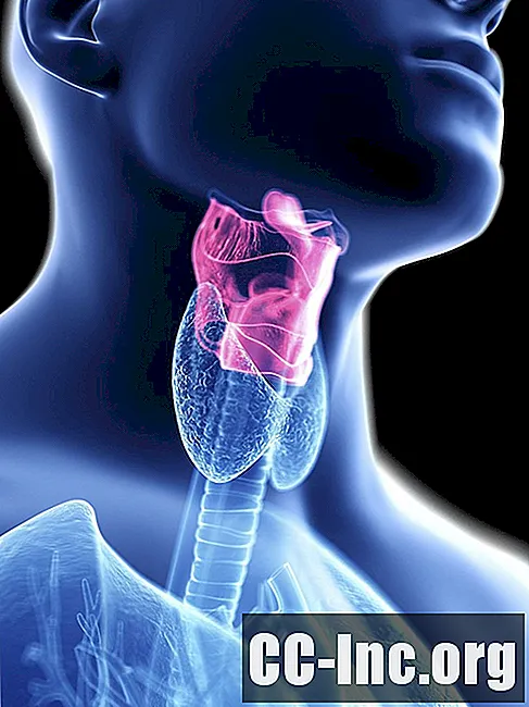 喉頭の解剖学