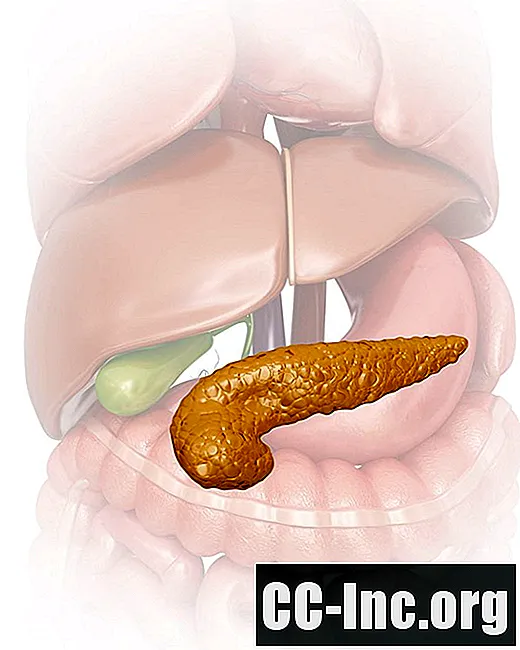 A anatomia do pâncreas