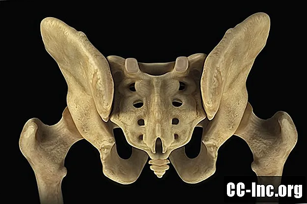 De anatomie van het heiligbeen