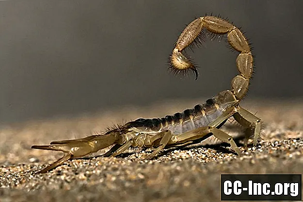 Nevarnosti alergije na škorpijon