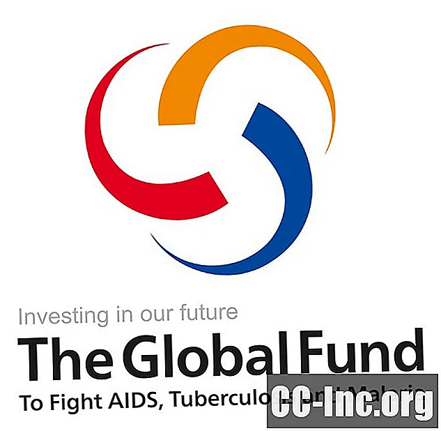 Het Wereldfonds ter bestrijding van aids, tuberculose en malaria