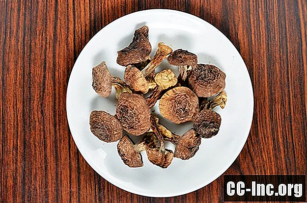 Die gesundheitlichen Vorteile von Agaricus Blazei Mushroom