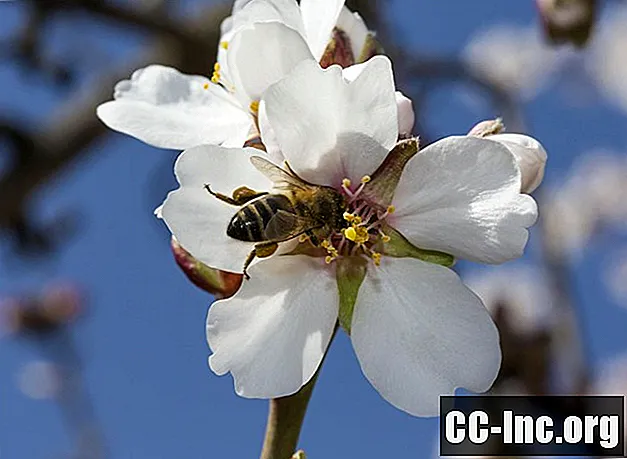 I benefici per la salute del polline d'api