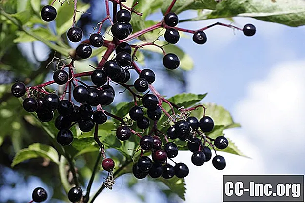 Manfaat Kesihatan Elderberry