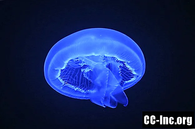 Здравствене благодати протеина медуза (Апоаекуорин)